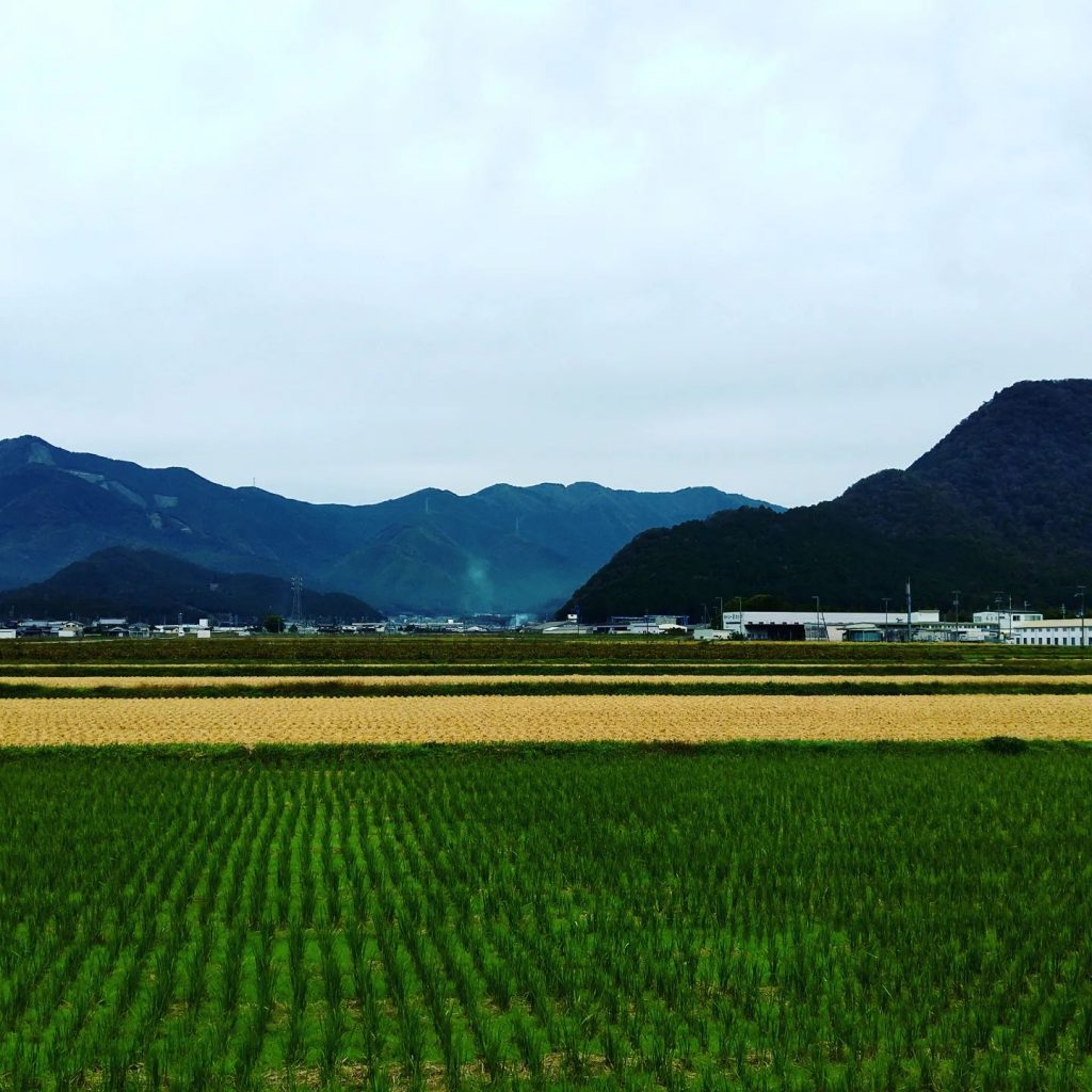 播州百日鶏の産地。